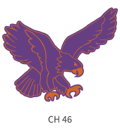 mascots-emblem-purple-orange-eagle